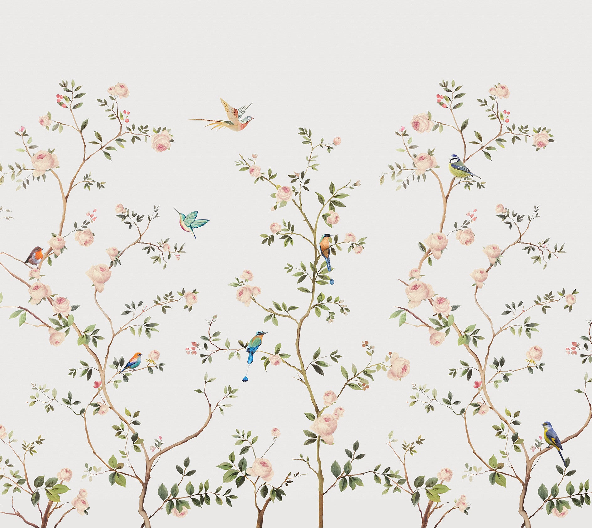 bird_wallpaper