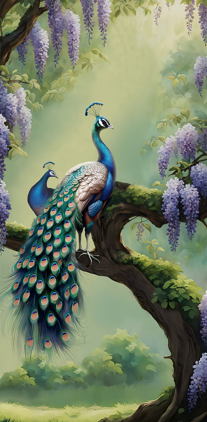 Peacock